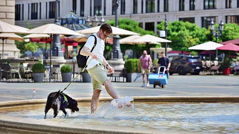 Ein Mann mit Hund plantscht in einem Brunnen auf dem Frankfurter Opernplatz.