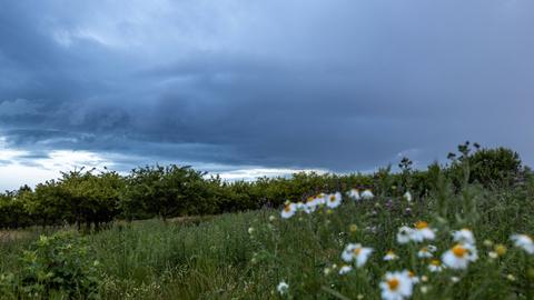 Dunkle Wolken eines Schauers sind am Abend am Himmel zu sehen.