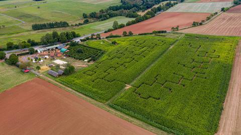 Ein Maislabyrinth