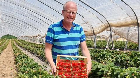 Ein Mann mit einer Kiste Erdbeeren in den Händen steht in einem Gewächshaus mit Erdbeerfeld.