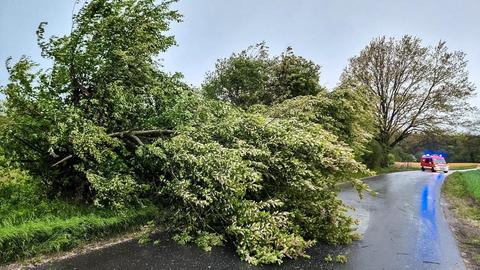 Baum auf Straße und Feuerwehrmann mit Säge