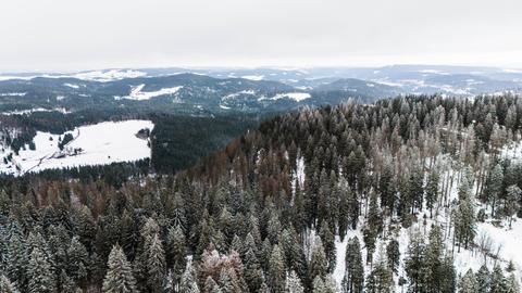 Blick von oben auf verschneiten Feldberg im Schwarzwald.