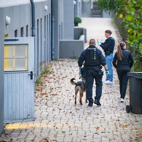 Polizei mit Polizeihund bei Durchsuchungen