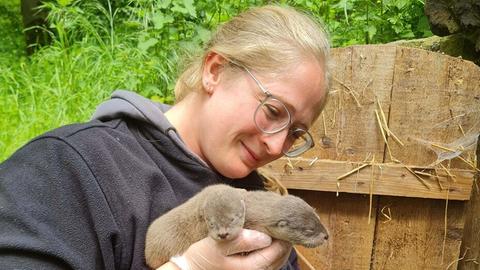 Eine Mitarbeiterin des Wildtierparks Edersee mit den beiden Fischotterbabys