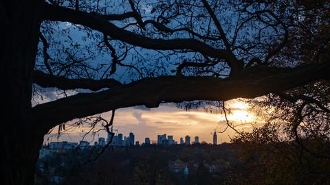 Hochhäuser im Sonnenuntergang