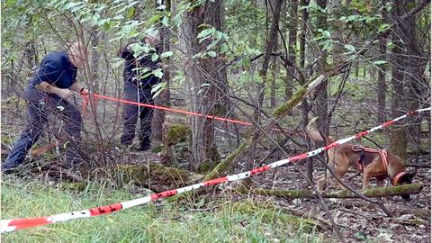 Zwei Polizeikräfte und ein Hund im Gebüsch, suchend.