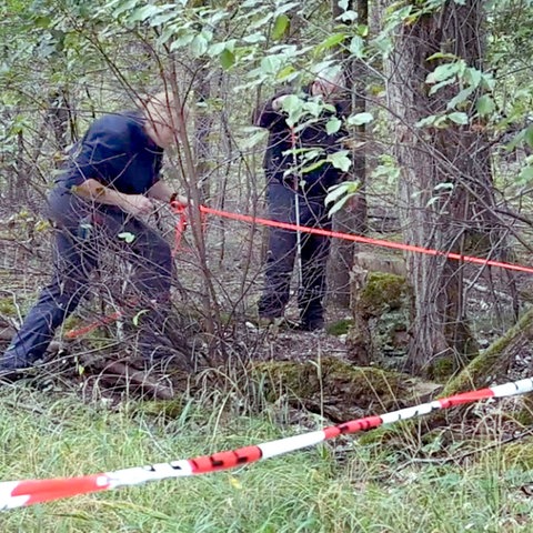 Zwei Polizeikräfte und ein Hund im Gebüsch, suchend.