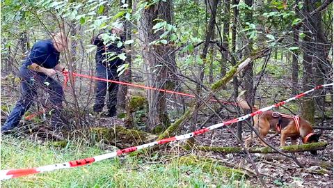 Zwei Polizeikräfte und ein Hund im Gebüsch, suchend.