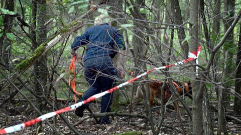 Eine Polizistin und ein Hund im Gebüsch, suchend.