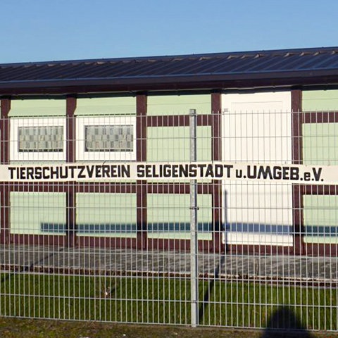 Ein Zaun, darauf "Tierschutzverein Seligenstadt"