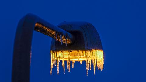 Laterne mit Eiszapfen am Frankfurter Zoo