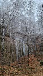 Verschneite Bäume und ein gefrorener Wasserfall