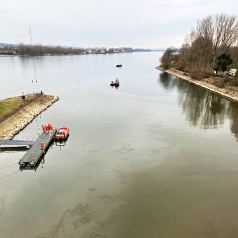 4 Erkundungsboote tuckern im Schiersteiner Hafen. Ein leichter heller Schleier ist auf dem Wasser zu sehen. 