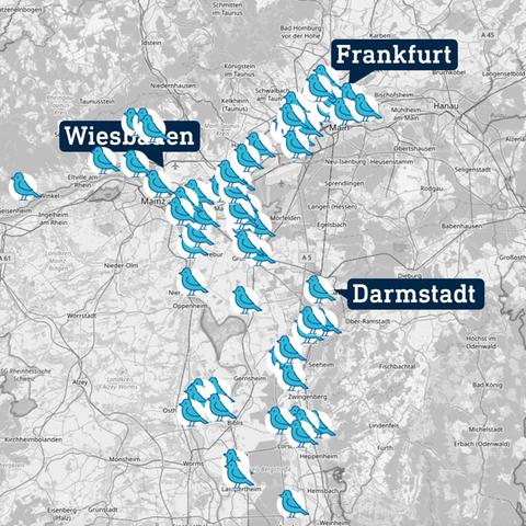 Karte, die den Bereich Rhein-Main und etwas südlich darstellt. In die Karte sind viele kleine Vogelicons eingezeichnet, vor allem bei den Großstädten Wiesbaden, Frankfurt, Darmstadt.