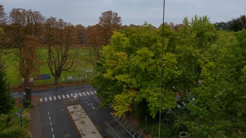 Bäume mit brauen Blättern und grauer Himmel über einer Ein- und Ausfahrt (Aufnahme von oben aus einem Fenster)