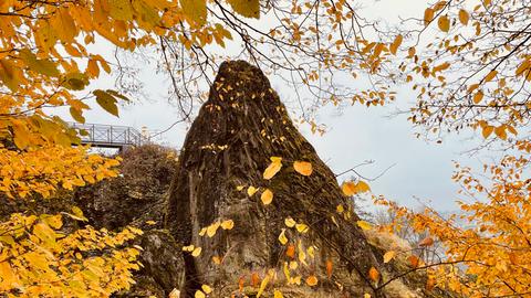 Herbstlaub bedeckt einen Felsen. 