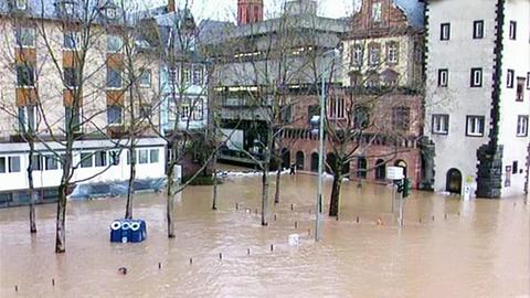 Hochwasser am Mainufer in Frankfurt, im Hintergrund das Historische Museum; Bäume und ein Altglascontainer ragen aus dem Wasser