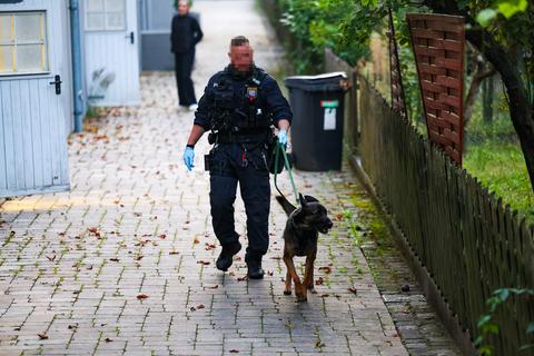 Ein Polizeihundeführer mit Hund