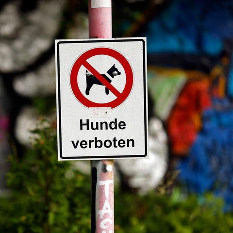 Ein Schild mit der Aufschrift "Hunde verboten"