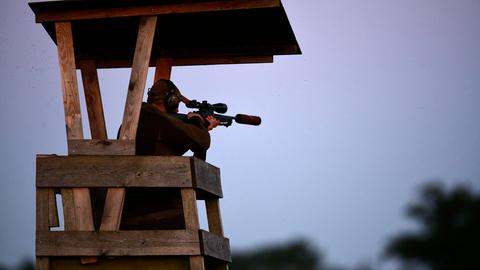 Ein Jäger sitzt auf einem Hochsitz, im Anschlag ein Gewehr.