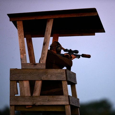 Ein Jäger sitzt auf einem Hochsitz, im Anschlag ein Gewehr.