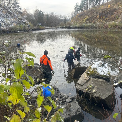 Ein See vor einem Steinbruch mit Menschen in Anglermontur im Wasser