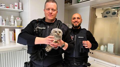 Mitarbeiter der Stadtpolizei mit verletztem Kauz