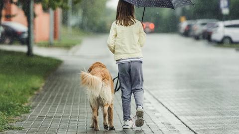 Mädchen mit Regenschirm und Hund