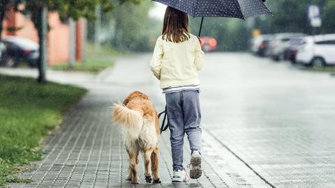 Mädchen mit Regenschirm und Hund (von hinten) geht auf einem Bürgersteig während es regnet.