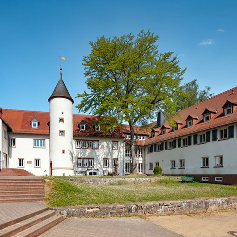 Ein weißes Gebäude umfasst einen grünen Innenhof. 