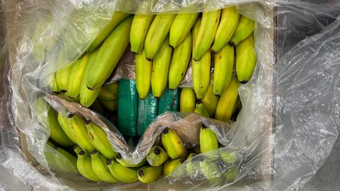 In einer Papierkiste liegen grün-gelbe Bananen darunter sind in grüner Folie umwickeltelte Pakete. 