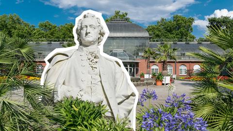 Eine Bildmontage mit einer Goethe-Statue im Vordergrund und dem Frankfurter Palmengarten im Hintergrund.