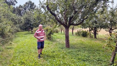 Ein Mann in T-Shirt und kurzen Hosen steht auf einer Grünfläche umgeben von Obstbäumen.