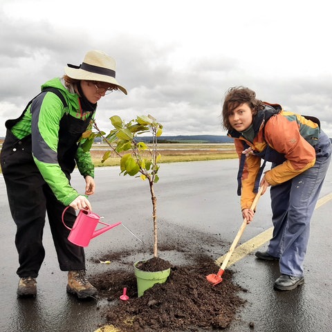 Zwei Aktivistinnen der Letzten Generation pflanzen mit Schaufel und Erde einen kleinen Baum auf den Rollweg am Airport Kassel. 