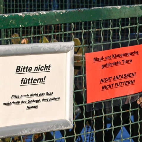 Schilder an einem Zaun, die auf die durch die Maul- und Klauenseuche gefährdeten Tiere hinweisen. Sie sollen nicht gefüttert und nicht angefasst werden.