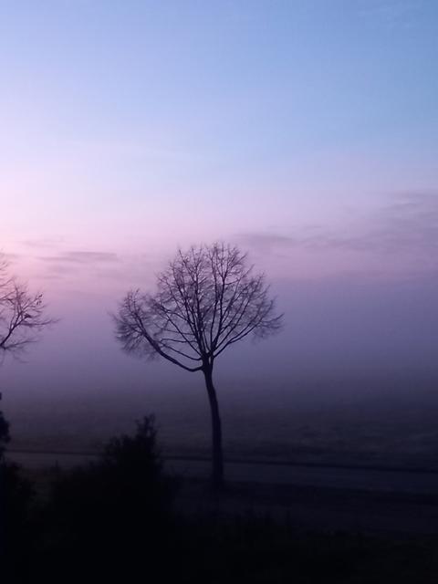 Sonnenaufgang in Darmstadt-Arheilgen