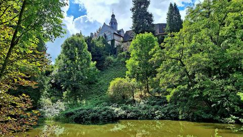 Bei einem Herbstspaziergang hat hessenschau.de-Nutzerin Ursula Kernbach einen tollen Blick auf das über ihr thronende Schloss Eisenbach in Lauterbach (Vogelsberg).