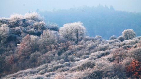 Landschaft mit von Frost überzogenen Bäume und blauem Himmel