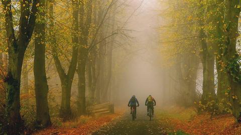 Radfahrer im herbstlichen Bad Hersfelder Stadtwald 