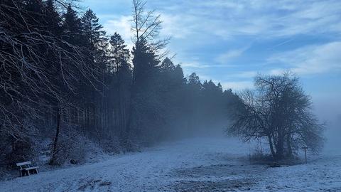 Verschneite Landschaft mit Wiesen und Bäumen und etwas blauem Himmel