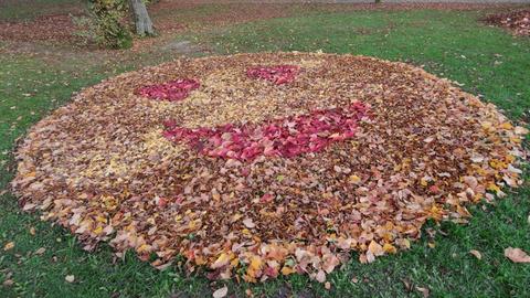 Herbstlaub in Smiley-Form