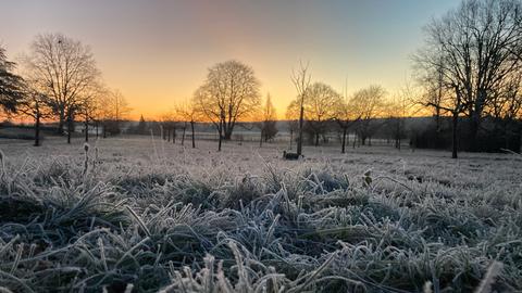 Blick über Darmstädter Rosenhöhe bei Morgendämmerung