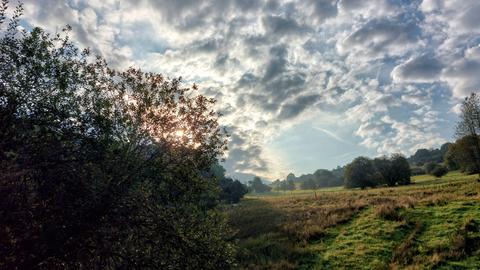 Die Sonne scheint zwischen Wolken und Bäumen hindurch auf eine Wiese; Morgenstimmung