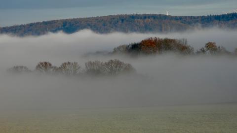 Nebel Landschaft mit Bäumen