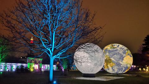 Blau angestrahlter blattloser Baum, im Hintergrund zwei Leuchbälle - ein "Mond" und eine "Erde"