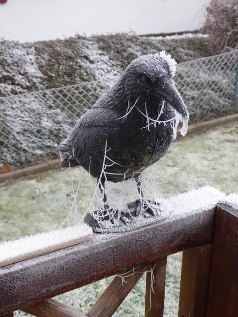 Eingefrorene Krähenfigur auf einem Balkongeländer