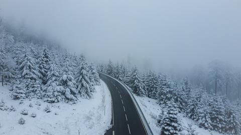 Die Wälder vom Feldberg sind voller Schnee, eine Straße führt durch den Wald, sie ist geräumt. 