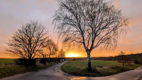 Sonne hinter Wolken und Bäumen, im Vordergrund regennasse Straße