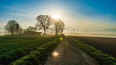 Sonnenaufgang hinter Bäumen mit Spiegelung und Pfütze, im Hintergrund Windräder