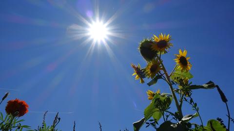 Blauer Himmel mit Sonnenschein